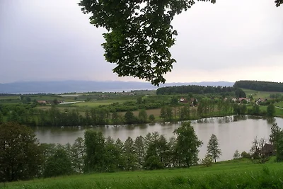 Ferienwohnung Meier