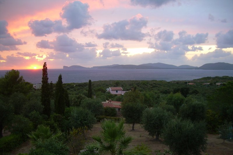 The house is located in the countryside (1.5 km away from Alghero).