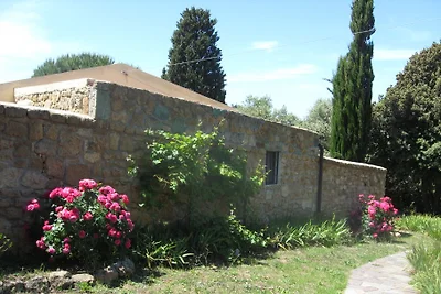 Dépendance Viburni