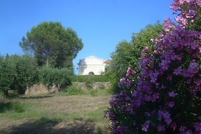 Villa Narcisi