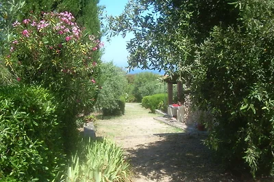 Villa Narcisi