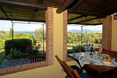 Villa Narcisi