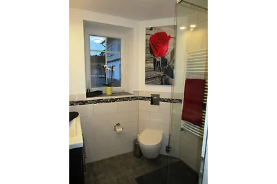 Komfortappartement Homas