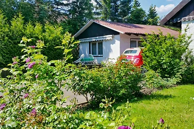 Casa di vacanza Tini Bad Harzburg WLAN