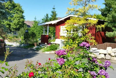 Casa di vacanza Bambi Bad Harzburg WLAN
