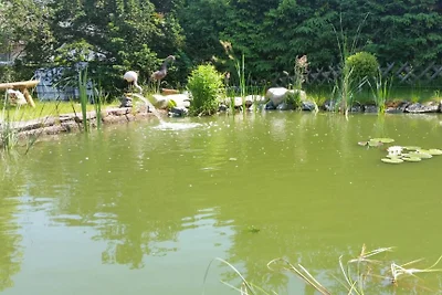 Casa di vacanza Bambi Bad Harzburg WLAN