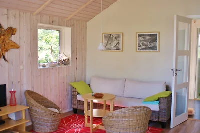 Ferienhaus Uferschwalbe