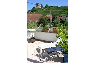 FeWo im alten Schloßgarten