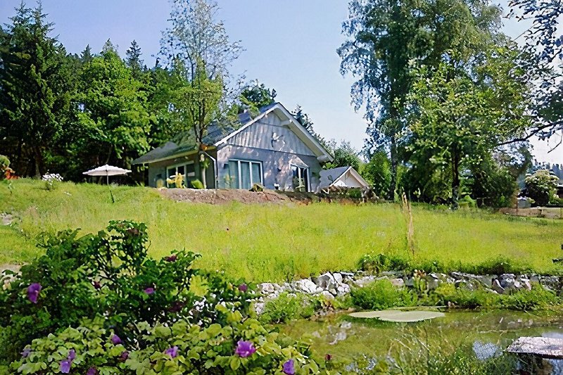 Das Ferienhaus Drei Birken inmitten der Natur