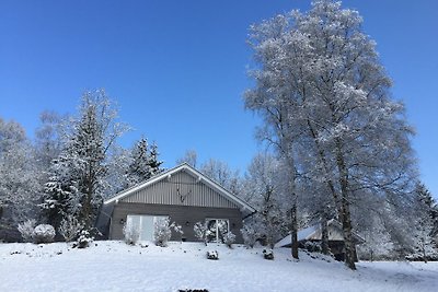 FERIENHAUS DREI BIRKEN