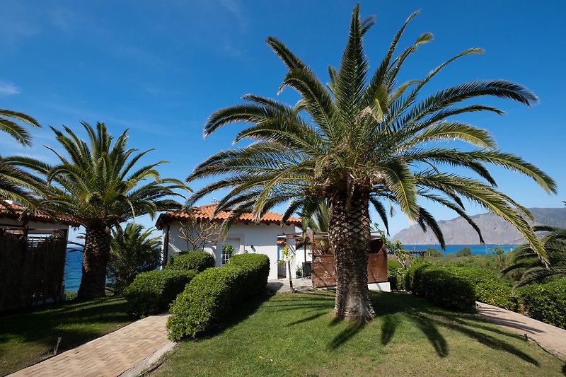 Schönes Ferienhaus  mit Palmen, Meerblick und tropischer Vegetation.