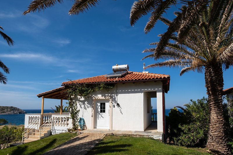 Schönes Ferienhaus mit Palmen und Blick auf das Meer.