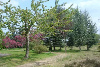 Casa naturale, 6.000 m2, lago proprio