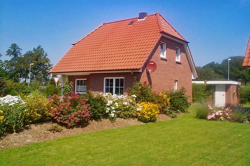 Uitzicht op de tuin