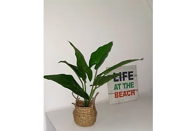 Apartament Het Helmlaantje