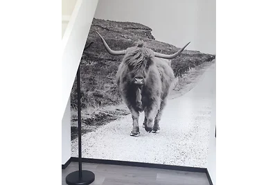 Apartament Het Helmlaantje