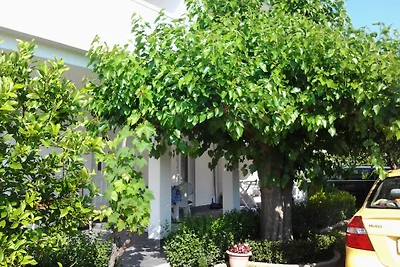 Ferienwohnung Rab - Lopar