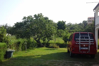 Ferienwohnung Rab - Lopar