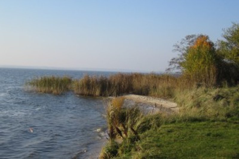 Naturschutzgebiet am Achterwasser