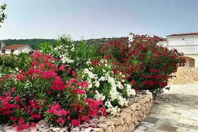 Haus Zlatko am Meer Vinjerac 2-4Per