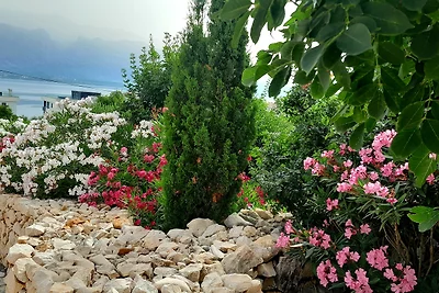 Haus Zlatko am Meer Vinjerac 2-4Per