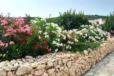 Haus Zlatko am Meer Vinjerac 2-4Per