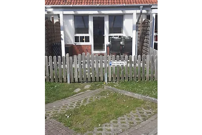 Ferienhaus Lachmöwe