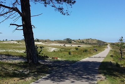 Vakantiehuis in de duinen van Groet