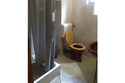 Apartmani Katica-Pisak
