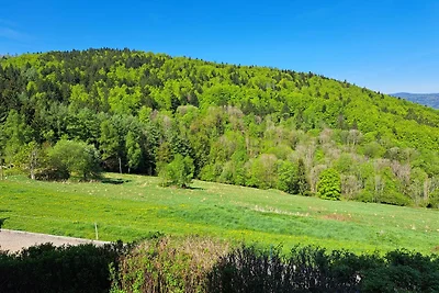 Ferienland Sonnenwald Ferienwohnung "Sonnensc...