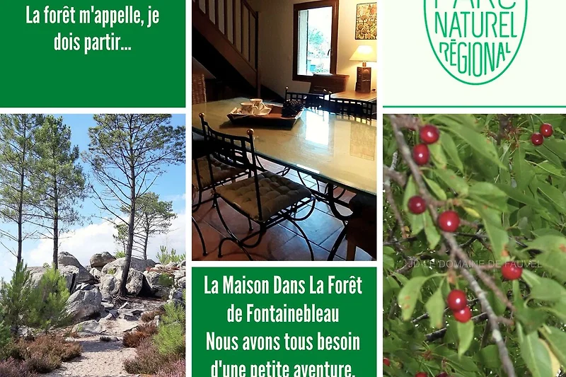 La Maison Dans La Forêt de Fontainebleau