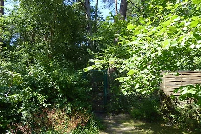 HAUS IM WALD FONTAINEBLEAU