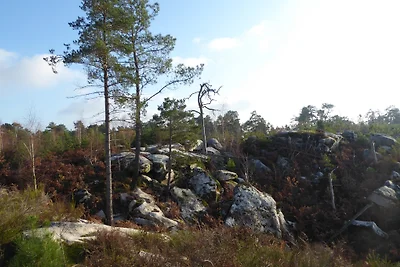 HAUS IM WALD FONTAINEBLEAU