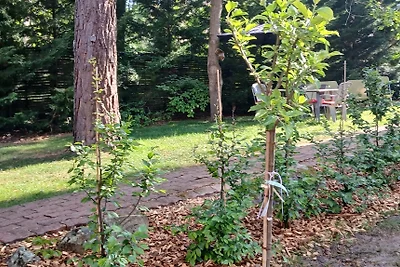 HAUS IM WALD FONTAINEBLEAU