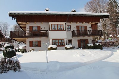 ALPENSTERN RUHPOLDING