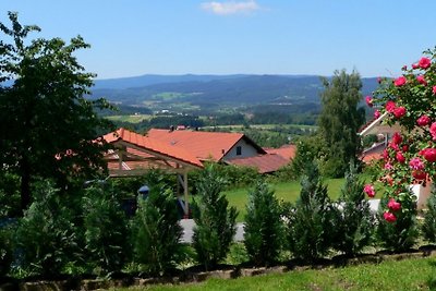 Ferienhaus Panorama