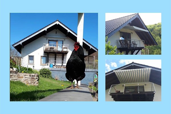 Ferienwohnung Windeck