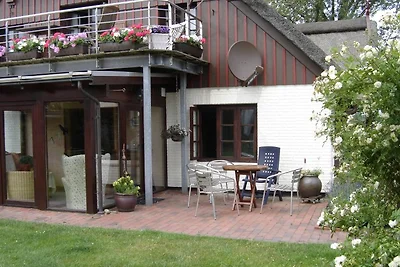 FeWo unter Reet - Frische Brise