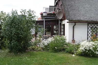 FeWo unter Reet - Frische Brise