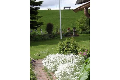 FeWo unter Reet - Frische Brise