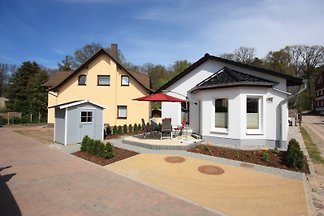 Seepferdchen