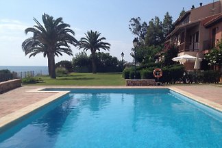 Oliveres (HUTTE-000739)