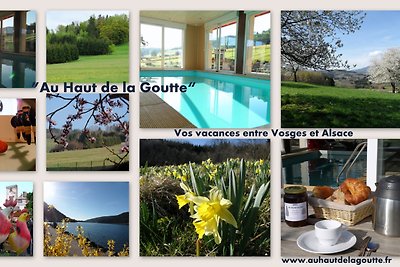 Au Haut de la Goutte