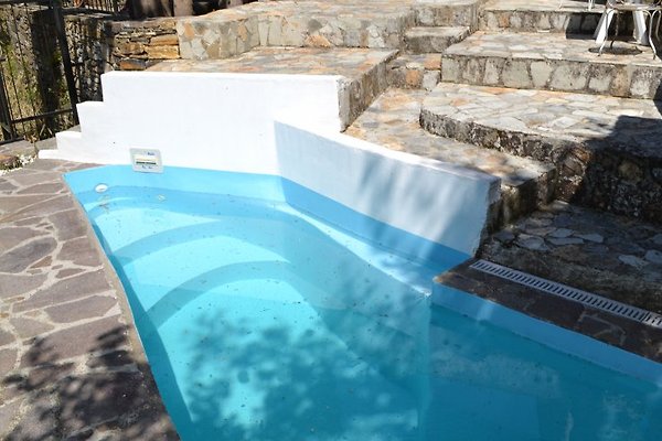 Pool im Garten Pool im Garten