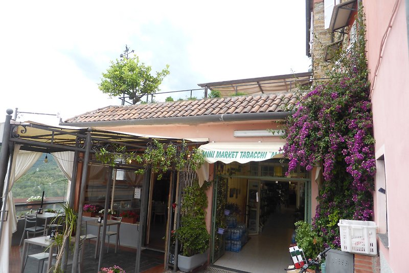 Laden und Bar in Civezza
