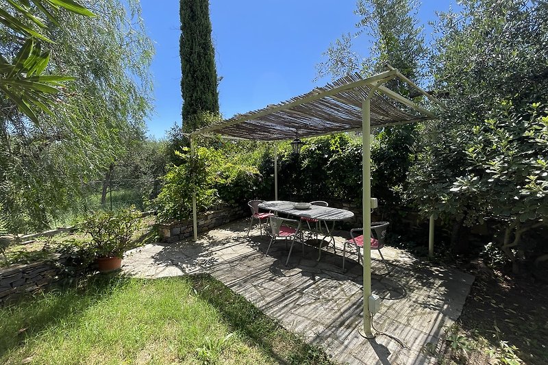 Großer Garten mit Pergola, Tisch, Bänken und üppiger Landschaft.