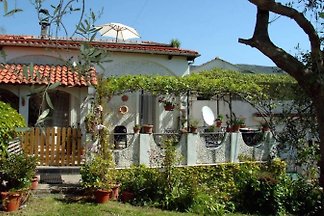 Casa Clara