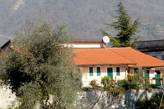 Casa del Papiro-Grande