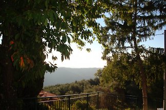 Casa del Papiro-Grande