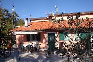 Casa del Papiro